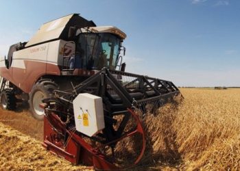 Türkiye, tarım yılının ilk yarısında Rusya’dan tahıl alımında liderliğini sürdürdü