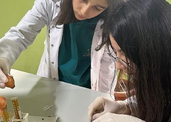 Bayrampaşa Belediyesi Bilim Merkezi’nden 8 patent başvurusu birden