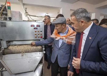 Beydağ’dan üretilen kestane unu çölyak hastalarına derman oluyor