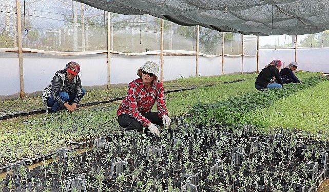 Büyükşehir Belediyesi’nden tarıma büyük takviye