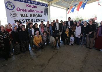Büyükşehirden Seydikemer’li Bayan Üreticilere Kıl Keçesi Takviyesi