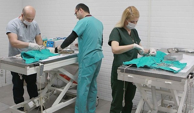 Can dostlara sıcak yuva ve mama takviyesi