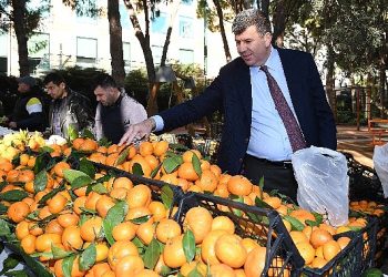 Depremzede çiftçilerin eserleri Kadıköy Dayanışma Pazarı’nda