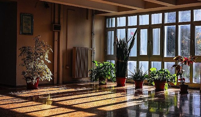 Deü’den yeşil muvaffakiyet: karbon ayak izi en düşük üniversite