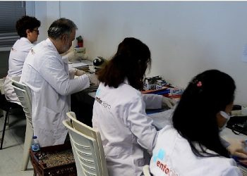 Dijital Bayraklı! – Lider Sandal: “Daha süratli daha güvenli”