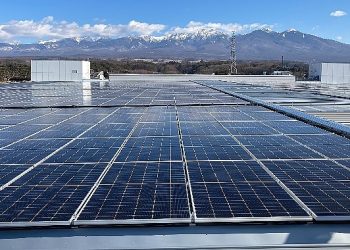 Epson tüm dünyada %100 yenilenebilir güce geçti