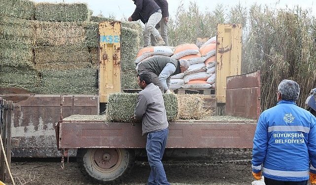 Hasret Çerçioğlu’ndan güç durumdaki üreticiye yem ve yonca takviyesi
