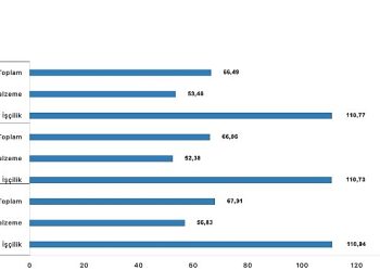 İnşaat maliyet endeksi yıllık yüzde 66,49 arttı, aylık yüzde 1,52 arttı