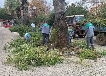 Kemer Belediyesi’nden yeşil alanlarda çalışmalar