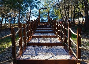 Kent Ormanı 115 bin 550 kişiyi ağırladı