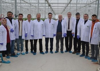 Konya jeotermal topraksız tarımın üssü oluyor