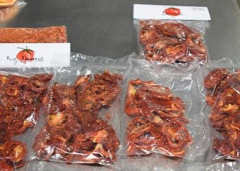 Meyve Zerzevat Kurutma Tesisi ile Dört Mevsim Üretim