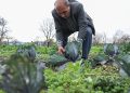 Nilüferli çiftçiler bilimsel üretimle kazanacak