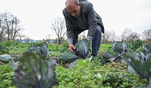 Nilüferli çiftçiler bilimsel üretimle kazanacak