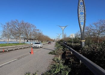 Ömer Türkçakal Bulvarındaki ağaçlara kış bakımı