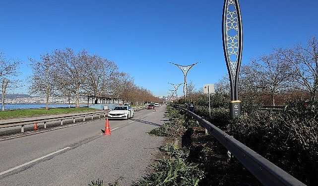 Ömer Türkçakal Bulvarındaki ağaçlara kış bakımı