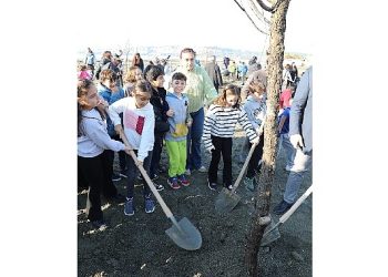 Seferihisar’da şehitlerin anısına ağaç dikildi