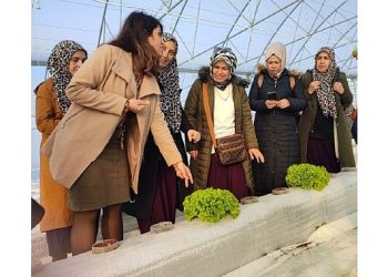 Topraksız tarım projesine bayan çiftçilerden ağır ilgi