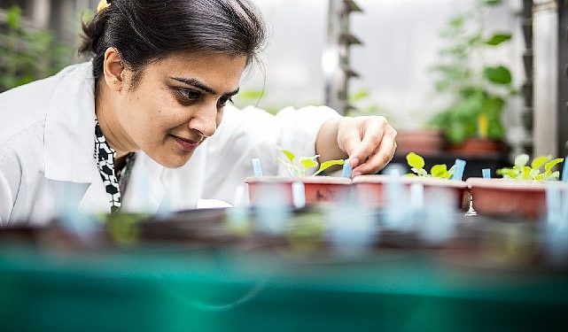 Türkiye ve Birleşik Krallık ortasındaki bilim iştirakleri ve araştırma iş birlikleri için 100 bin Sterlin fon takviyesi