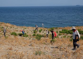 Türkiye’nin dört bir yanındaki kazılarla arkeolojik varlıklar gün yüzüne çıkarılıyor