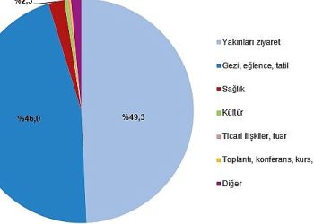 Yurt içinde ikamet eden 19 milyon 467 bin kişi seyahate çıktı