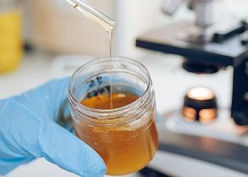 100.Yıl Besin Tahlil Laboratuvarı Açılışa Hazırlanıyor