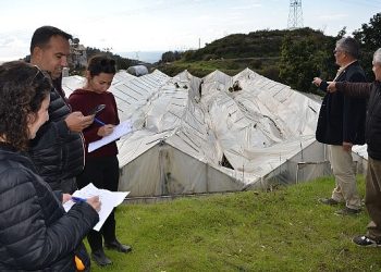 Antalya Büyükşehir Alanyalı üreticilerin yaralarını sarıyor