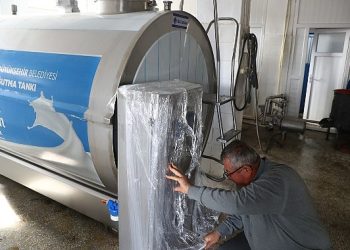 Antalya Büyükşehir Mahalleli sütünü daha âlâ kaidelerde koruma edecek