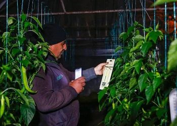 Antalya Büyükşehir’in çiftçiye dayanakları sürüyor