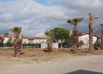 Burhaniye’nin Yeşil Alanları Artıyor