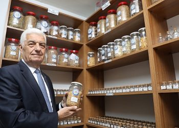 Büyükşehir 1 Milyon Lokal Tohumun Dağıtımına Başladı