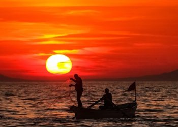 Emitt 2024’e İznik damga vuracak