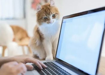 Ferdî aygıt kullanımı şirketleri riske sokuyor