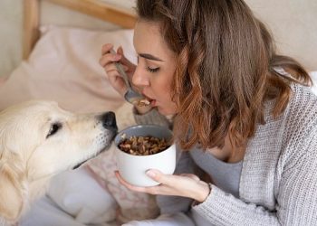 Katkı Maddesiz Doğal Destekler, Evcil Dostları Besin Alerjiden Koruyor