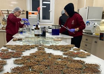 Kedi köpek maması ihracatı 10 yılda 27 kat arttı 4 milyon dolardan 122 milyon dolara çıktı