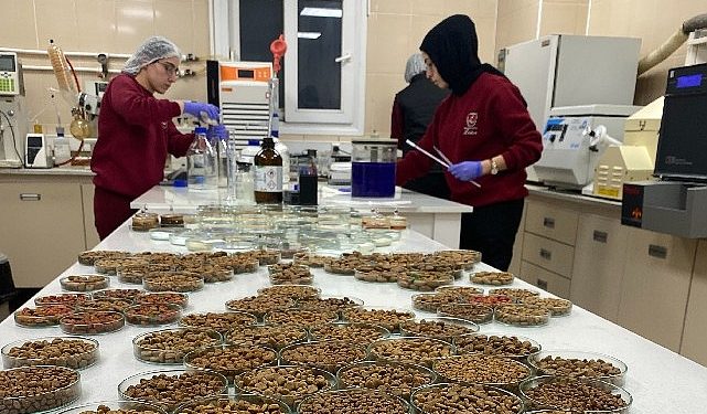 Kedi köpek maması ihracatı 10 yılda 27 kat arttı 4 milyon dolardan 122 milyon dolara çıktı