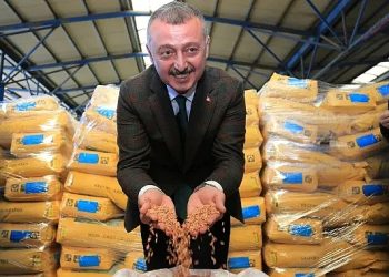 Kocaeli Büyükşehir’den çiftçilere tohum ve gübre dayanağı