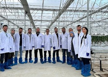 Konya jeotermal topraksız tarımın üssü oluyor