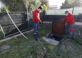 Menderes’te Larva Çabası