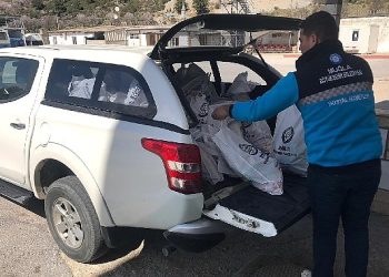 Muğla Büyükşehir Mor Hayat Projesi Devam Ediyor