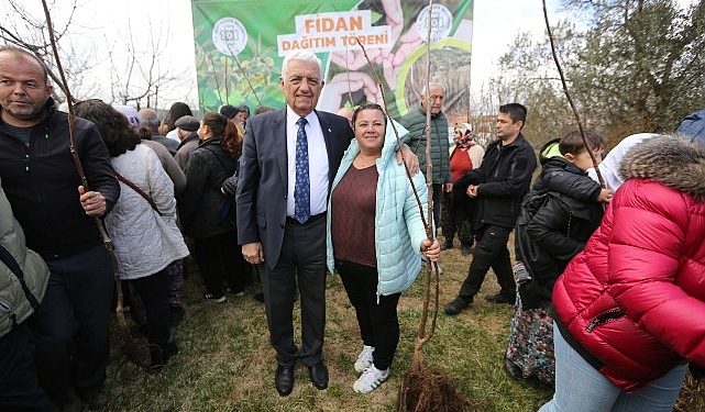 Muğla Büyükşehir Üreticilere Meyve Fidanı Dağıtımına Başladı