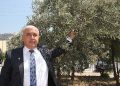 Sofralık zeytin ihracatı döviz bazında yüzde 52 arttı