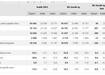 TÜİK: Mevsim tesirinden arındırılmış işsizlik oranı %8,8 düzeyinde gerçekleşti