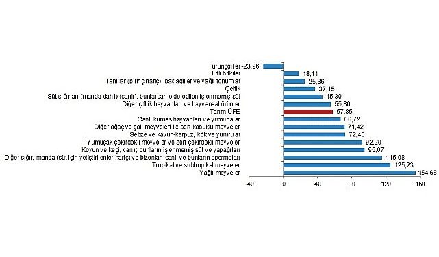 TÜİK: Tarım eserleri üretici fiyat endeksi (Tarım-ÜFE) yıllık %57,85, aylık %3,85 arttı