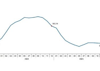 TÜİK: Ziraî girdi fiyat endeksi (Tarım-GFE) yıllık %41,43, aylık %2,62 arttı