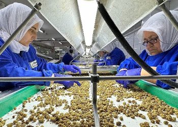 Türkiye organik eser ihracatında 1 milyar dolar hududunu aştı yeni ihracat amacı 2 milyar dolar