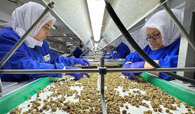 Türkiye organik eser ihracatında 1 milyar dolar hududunu aştı yeni ihracat amacı 2 milyar dolar