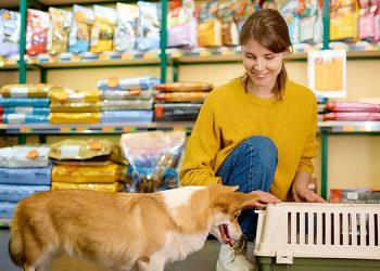 Türkiye’de yaşanan evcil hayvan ebeveynleri sağlıklı ve besici eserler tercih ediyor