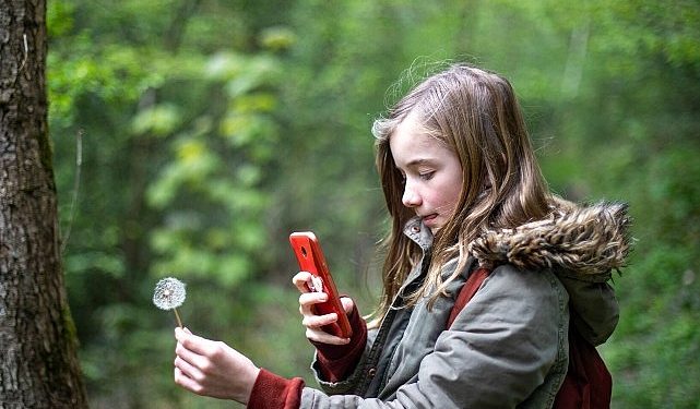 Vodafone Kümesi’nin Etraf Performansına CDP’den Tam Not