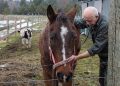 “Yetenekli Dr. Pol”un Yeni Dönemi Şubat Ayında National Geographic WILD Ekranlarında